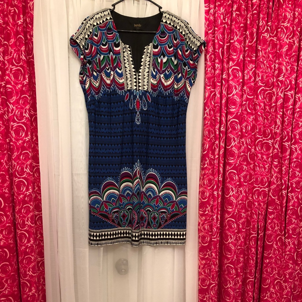 Laundry Dress